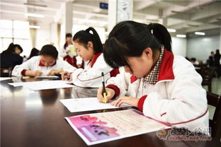 筆墨傳承，青春飛揚——2016彭城書法大賽海選第三站走進徐州高級中學